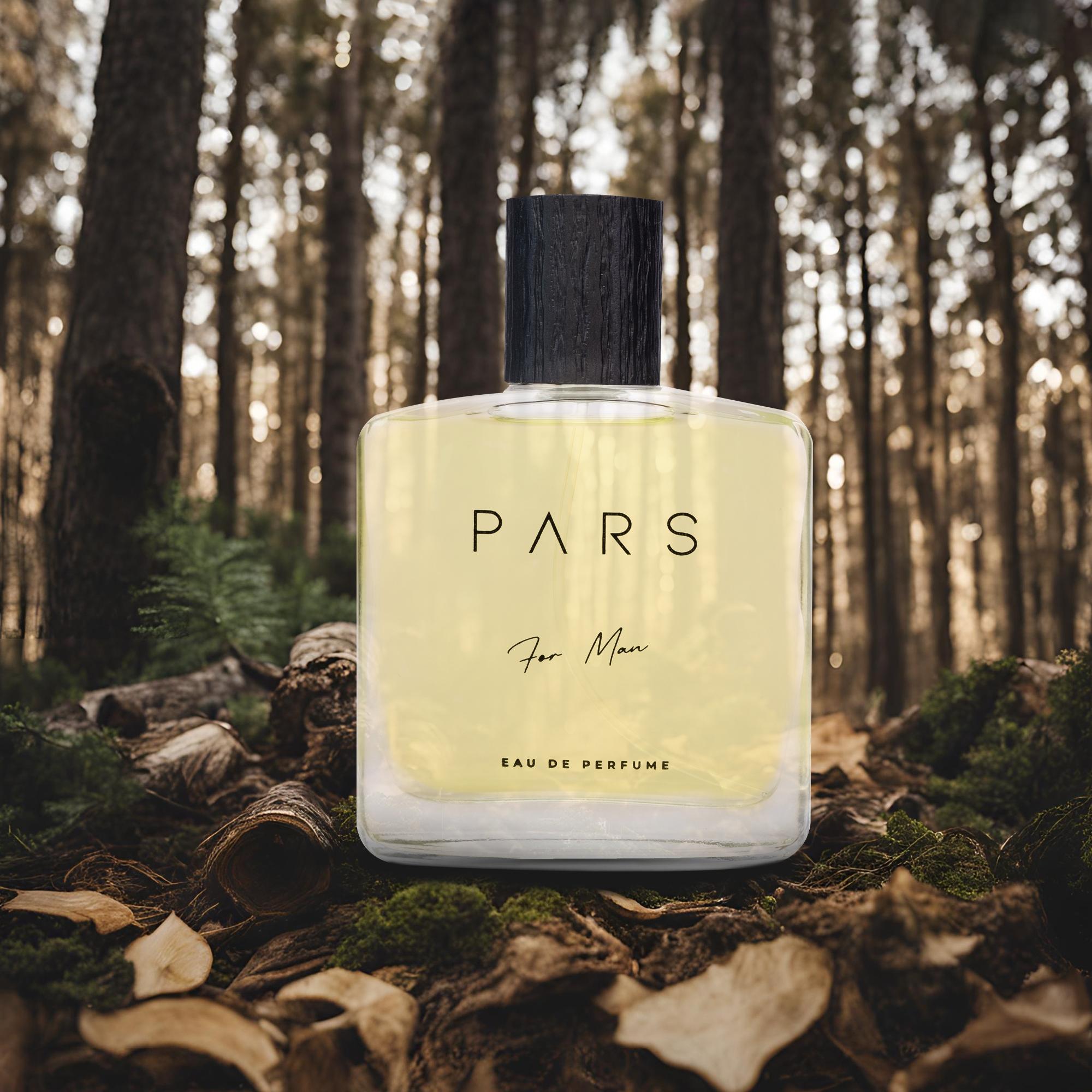 Pars B-6  Formen Parfum 50ml