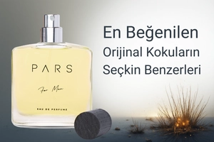 Erkek Selective Kokuları